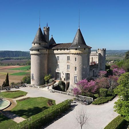 Chateau De Mercues Bagian luar foto